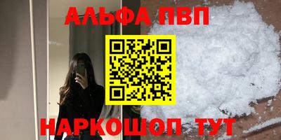СК Кингисепп