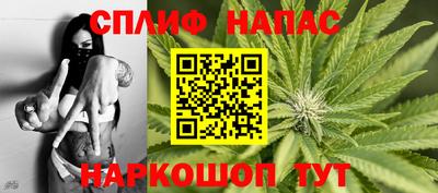 СК Кингисепп