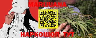 СК Кингисепп