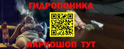 СК Кингисепп