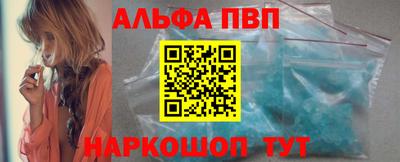 СК Кингисепп