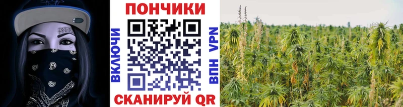 Конопля планчик  OMG рабочий сайт  Железногорск 